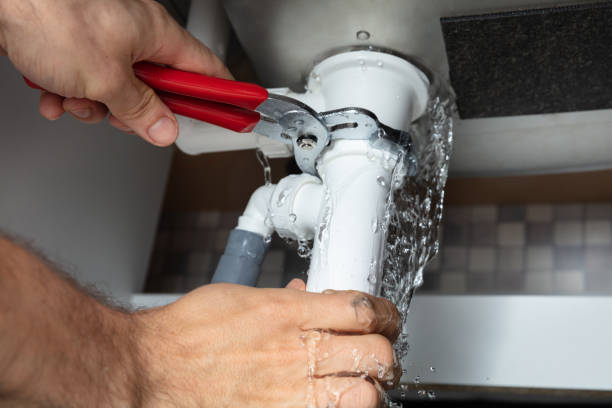Best Mold removal after water damage  in Encantada Ranchito El Calaboz, TX