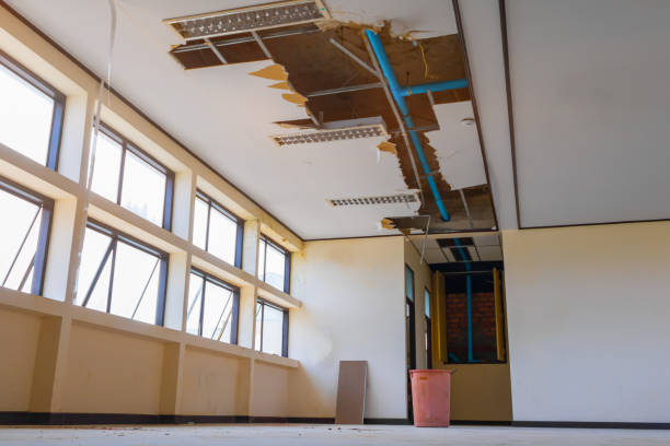 Best Fire Damage Restoration  in Encantada Ranchito El Calaboz, TX