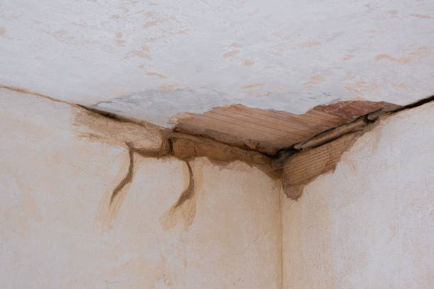 Best Commercial water damage restoration  in Encantada Ranchito El Calaboz, TX