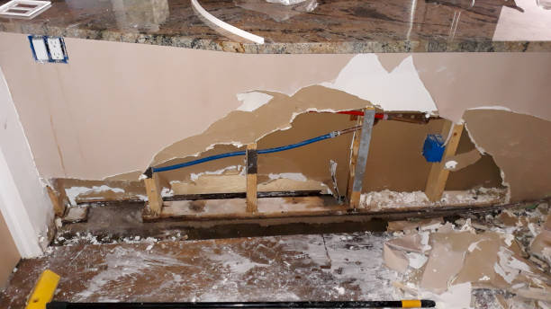 Best Carpet water damage restoration  in Encantada Ranchito El Calaboz, TX