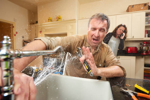  Encantada Ranchito El Calaboz, TX Water damage restoration Pros